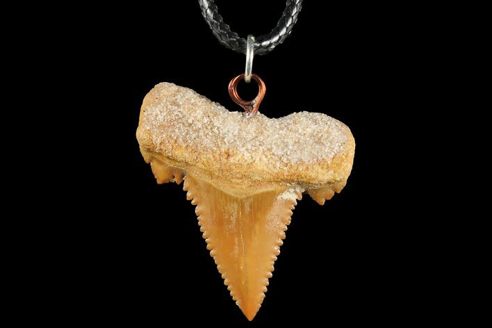 Fossil Shark (Palaeocarcharodon) Tooth Necklace -Morocco #110218